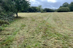 East meadow lower half -- Bob Johnson