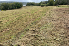 Meadow view central area -- Bob Johnson