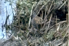 1bef450a-7932-4784-98e9-4ca6fb9910a5