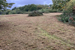 C23-West-picnic-area-meadow-Bob-Johnson