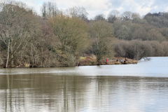 Sand Martin Bank construction