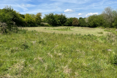 North-Bank-Meadow-Area2_IMG_3591