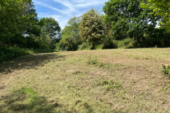 North-Bank-meadow-Area1_IMG_3588