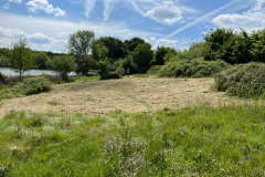 North-Bank-meadow-Area2_IMG_3592