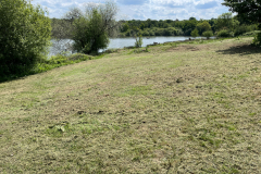 North-Bank-meadow-Area2_IMG_3593