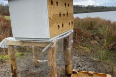 Sand Martin Boxes