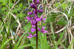 WhatsApp-Image-2025-04-14-at-12.18.23