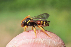 WhatsApp-Image-2025-06-20-at-17.33.05