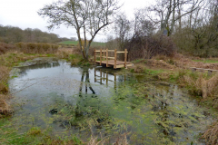 New-pond-dipping-platform-21-03-23-Bob-Johnson