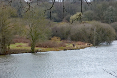 North-bank-meadow-from-Hide-Car-Park-21-03-23-Bob-Johnson