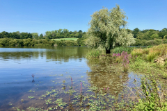 View from Pintail Bank -- Ian Hodgson